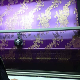 其他丝绸面料;缎类;绉类