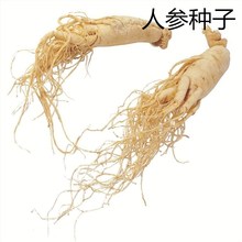 ɢb˅NӈASؾļԵLɽҰɽNl