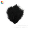 Winning feather manufacturers wholesale scattered roots of turbulent natural all -color color 50 sets of spot pet decoration