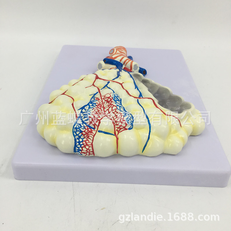 �Ұ�ʽ���ͷ��ݷŴ�ģ�� ����ν���ģ�� �������ϵͳ����ģ��