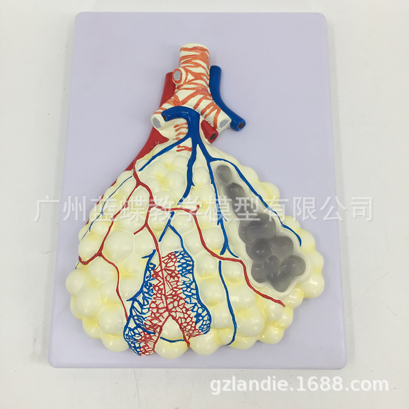 �Ұ�ʽ���ͷ��ݷŴ�ģ�� ����ν���ģ�� �������ϵͳ����ģ��