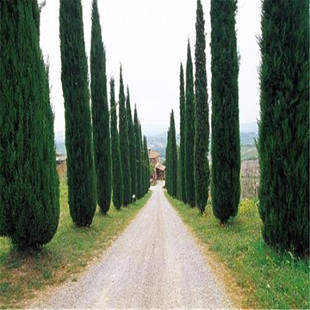 �����²���ľ�N�Ӱ�ľ�N������ش��z�����Ӵ��Ř�@�־G����N