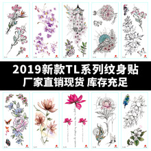 ����ֱ���¿�TLϵ�ж��ﻨ��ͼ�ڻ�����ˮ�������ɶ�151-190