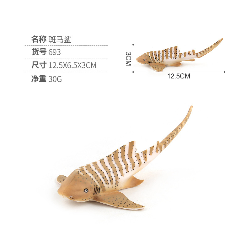 693 tiburón cebra 0,03 kg