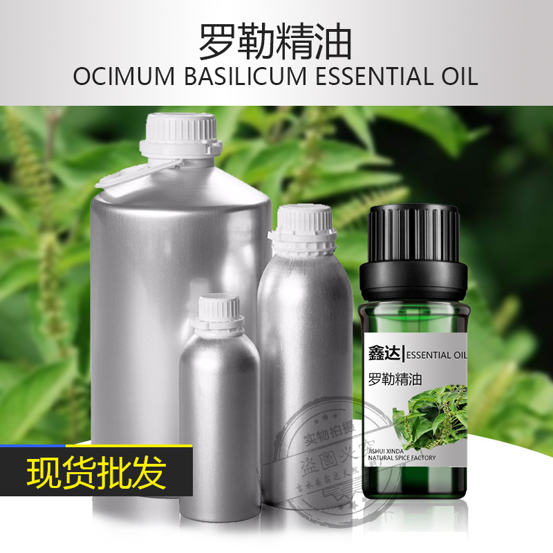 现货批发罗勒精油10ml 植物萃取精华油厂家直销 精油批发
