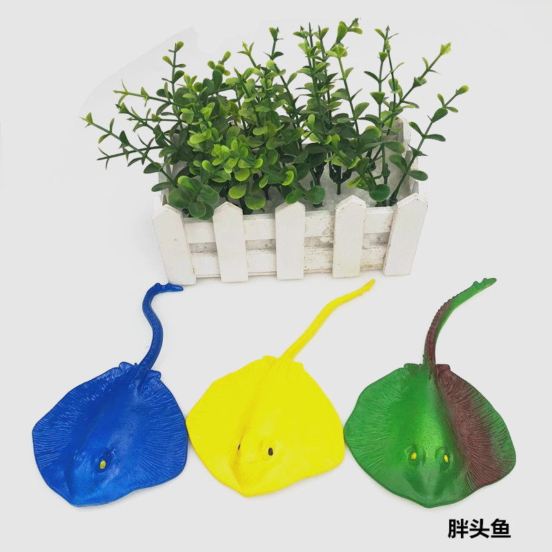 뚱뚱한 머리 물고기