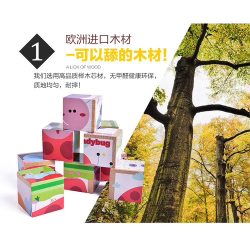 Wooden six-sided painting beech wood 9-piece puzzle children's 3D three-dimensional building block baby educational toy for 3-4-5-6 years old