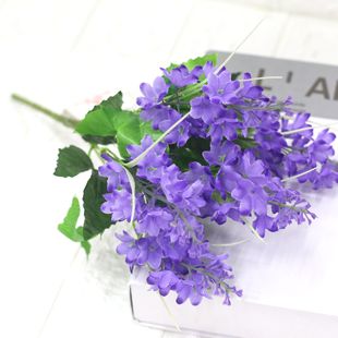 ���滨�����S�����l5�^�L���� ޹�²� �Ƶ��k������c �A�ֹ���