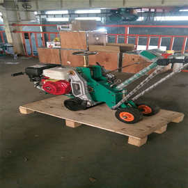 手推起草皮机厂家  汽油草坪移植机价格 草坪起草机 图片园林