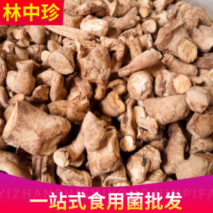 ʳƷ�S���㹽�_�Ƀ��o�s�|