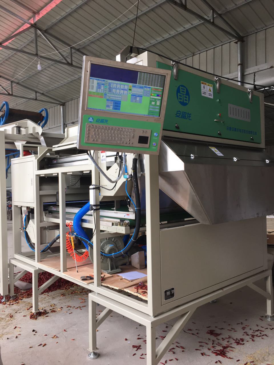 合肥安晶龙辣椒色选机，双层履带，辣椒筛选机，产量大，色选机