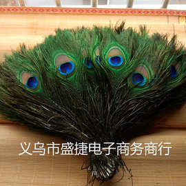 现货供应 优质天然孔雀毛 孔雀羽毛 品质保证 厂家直销 20-120cm