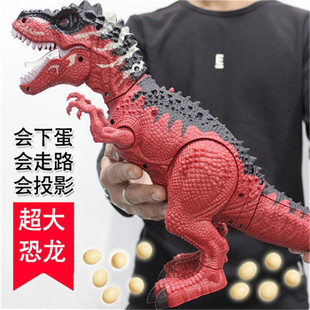 �������늄ӷ��������������·�µ�ͶӰ���F����ģ�͹��S���l