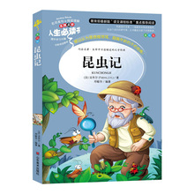 人生读物书《昆虫记》美绘青少版山东美术出版社图书