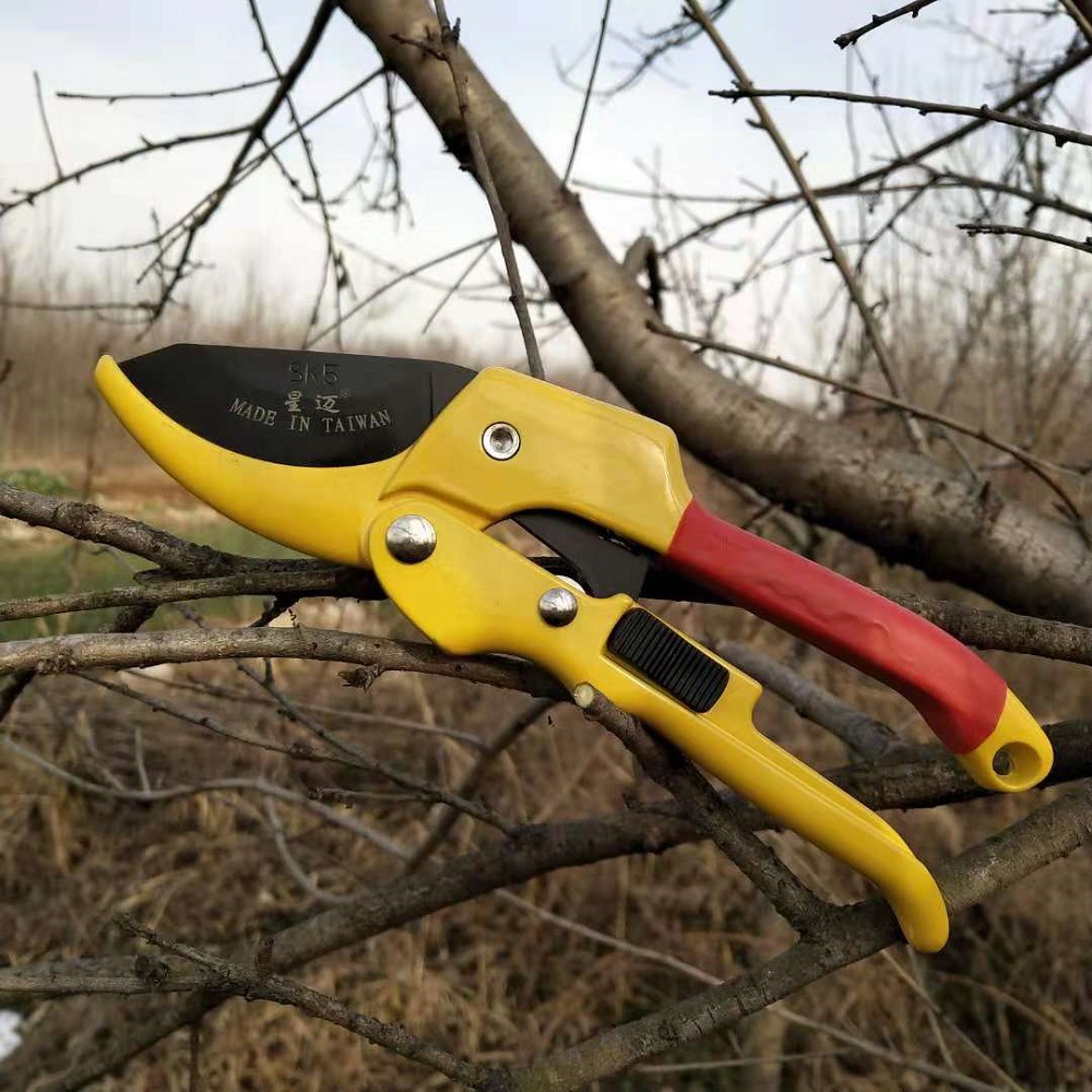 源头厂货新款星迈原装SK-5省力滑轮式铝合金修枝剪园林剪刀果枝剪
