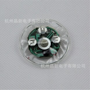 Professional manufacturers supply waterproof vocal waterproof voice clothing hair scattering chip clothing lamps
