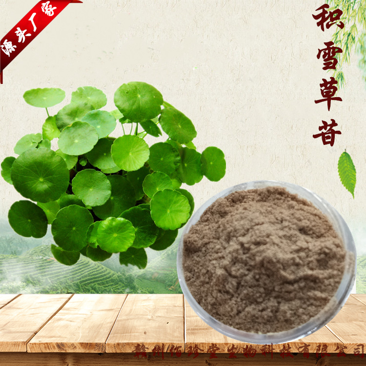 【 实力厂家】积雪草苷 积雪草提取物 化妆品植物护肤原料 提取物