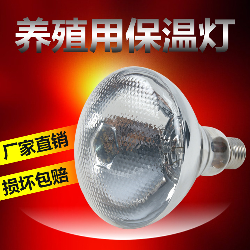 加厚仔猪畜牧保温灯泡 防水防爆红外线仔猪灯泡 取暖畜牧灯泡