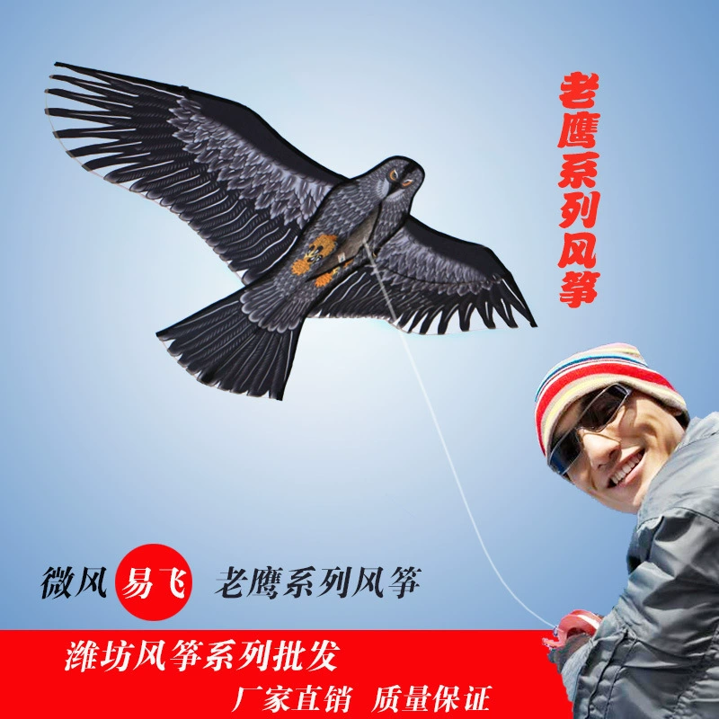 Оптовая продажа воздушного змея Weifang New Fortune Paradise Bird Eagle Breeze Кайт напрямую с завода Breeze Легкая полётность