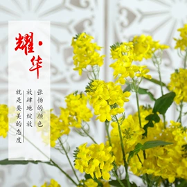 仿真绿植;仿真花;其他婚庆用品