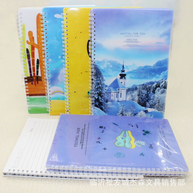 Ed 18K PP катушка для ноутбука модная трендовая Обложка студенческий дневник около 62