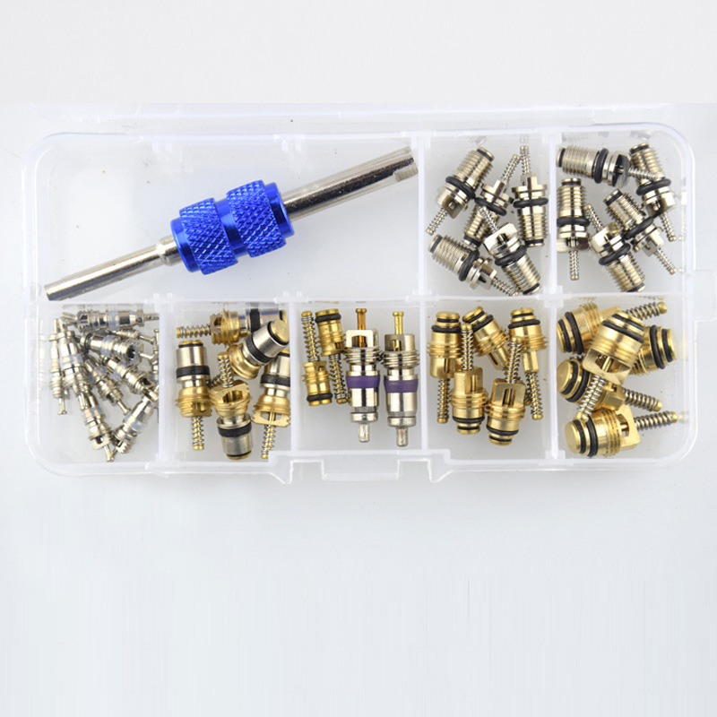 Car Air Conditioner Valve Core Combination R134A Suitable for Air Conditioner Valve Core Set Boxed Tire
