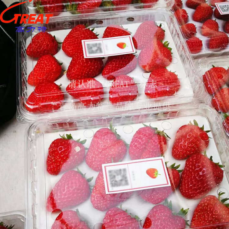 500克草莓包装盒一次性塑料水果包装盒单粒装蓝莓盒厂家现货批发