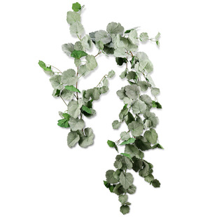 ���泣���ٺ����~�ٗl �����ٷ������ٺ����~�ӷ�������1.7�����~