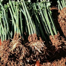 �ļ��ٱ��Nޱ�¼�õ���ͥ�@ˇ���ԾGֲ�����^������ֲ���ٱ��¼�