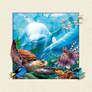 �� ��5D���w����ʲô��5d��5D������ô�����ģ��F؛5D��Ů�