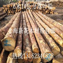 |~ԭľr غӵľ ~ԭľ~ľѴ