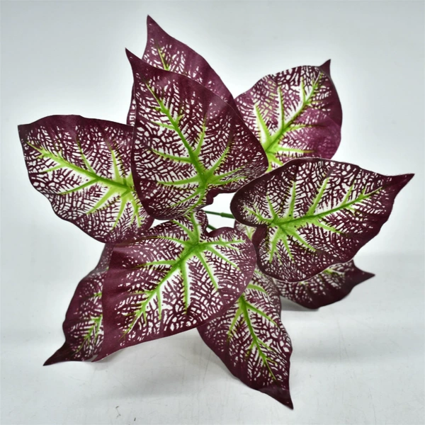9 -headed purple taro