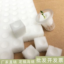 �o�����ຣ�d ˮ�ຣ�d ���纣�d �Nֲ���d ����K ˮ�ඨֲ��