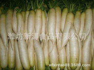 Белая редька weifang xintao Food (базовая посадка, прямое снабжение производителя)