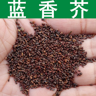 �ݻ��N�� �{���N�� �m��� �㻨��N�� 1��=1��