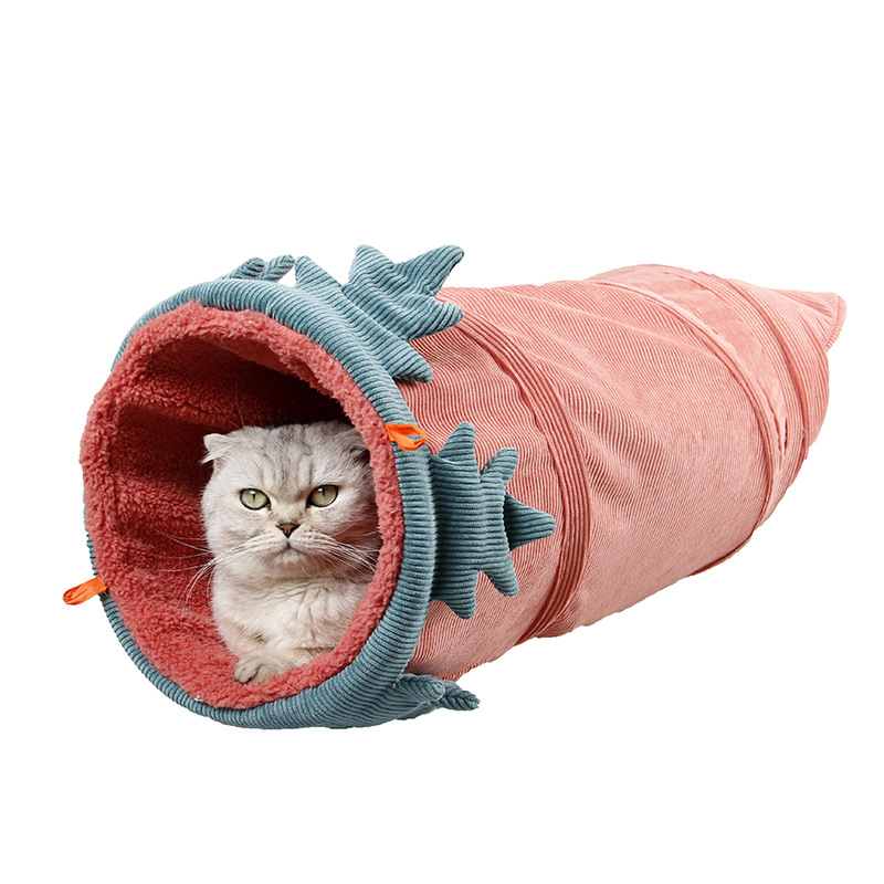 고양이 빨간 당근 없음