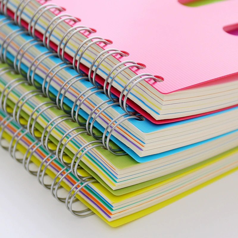 Spiral Sectioned Student Notebook, Korean Style, A5/B5 with Colored Tab Dividers