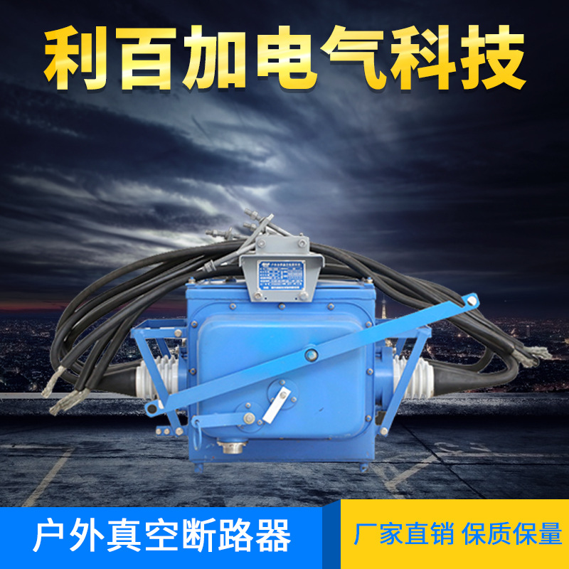 高压真空灭弧断路器 户内高压交流断路器 智能分界开关厂家直销