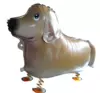 Walking Golden Retriever