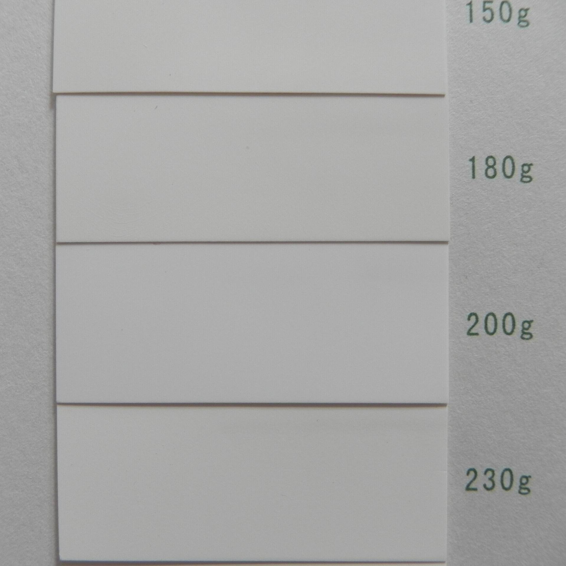 厂价批发国产撕不烂合成纸哑面白色合成纸PP合成纸