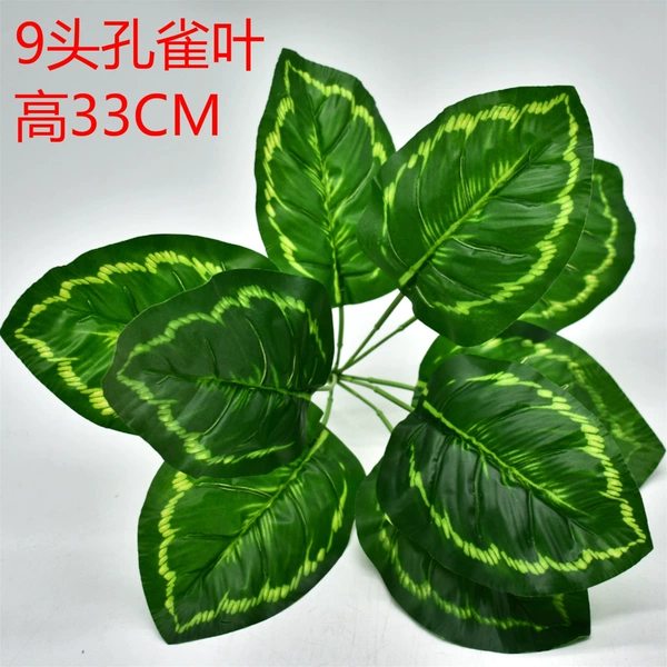 9 peacock leaves