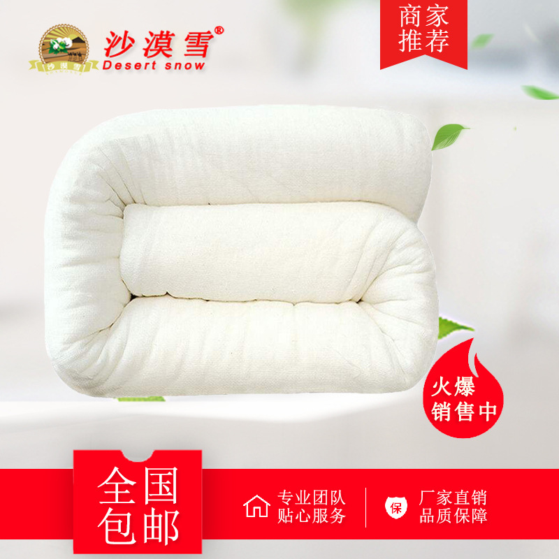 Net-Free Xinjiang Cotton Quilt, Summer Cooling Air-Conditioning Quilt, Breathable Quilt Cover, Warm Cotton Mattress, Wholesale with Free Shipping