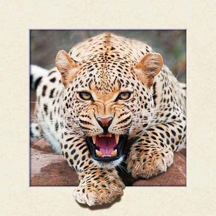 �͏d���b�Ʒ,���Iӡˢ����5d��,���w���S���[�ؔ�5D��ֱ�ӏS