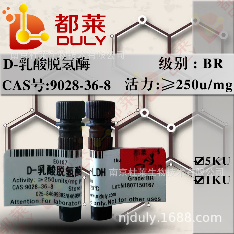 科研试剂 D-乳酸脱氢酶/D-LDH   规格：BR，400u/mg  现货 可开票