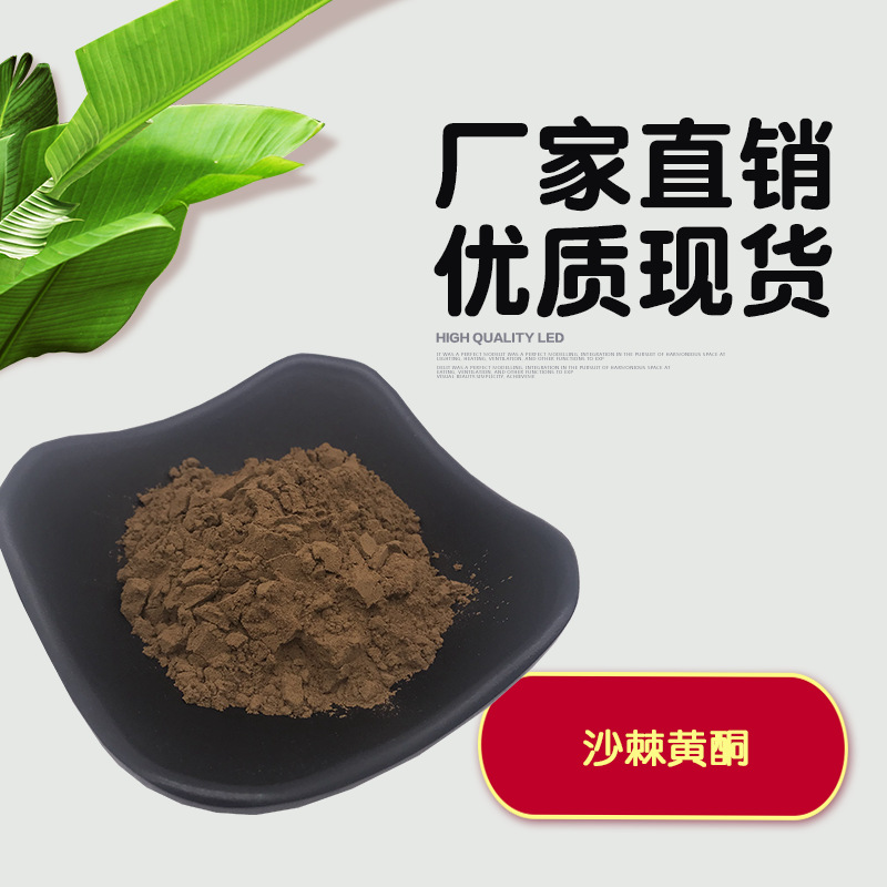 沙棘黄酮30%  沙棘提取物 沙棘黄酮粉 沙棘总黄酮