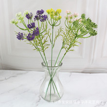 ��֧�������ٽz����ĭ���滨�S�ҼҾ��b�c������·�������ٻ�