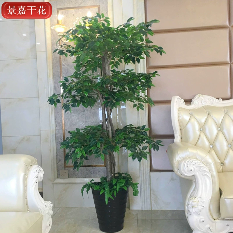 Моделирование Banyan Tree моделирование офисного коридора зеленое растение съемка реквизит поддельное Banyan Tree моделирование Banyan Tree оптом