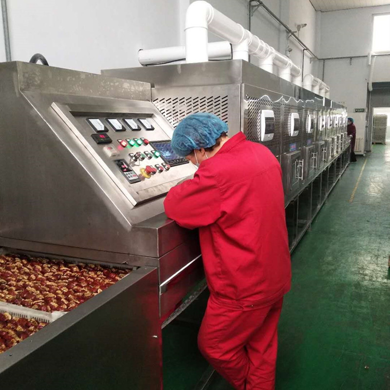 枣夹核桃，微波大枣烘干灭菌设备