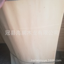 SֱNҎߴ B zϰ ģľΰNA