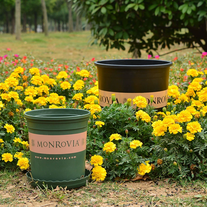 Новый галлон горшок для растений пластиковый цветочный горшок балкон розы розы зеленый укроп круглая смола цветочный горшок